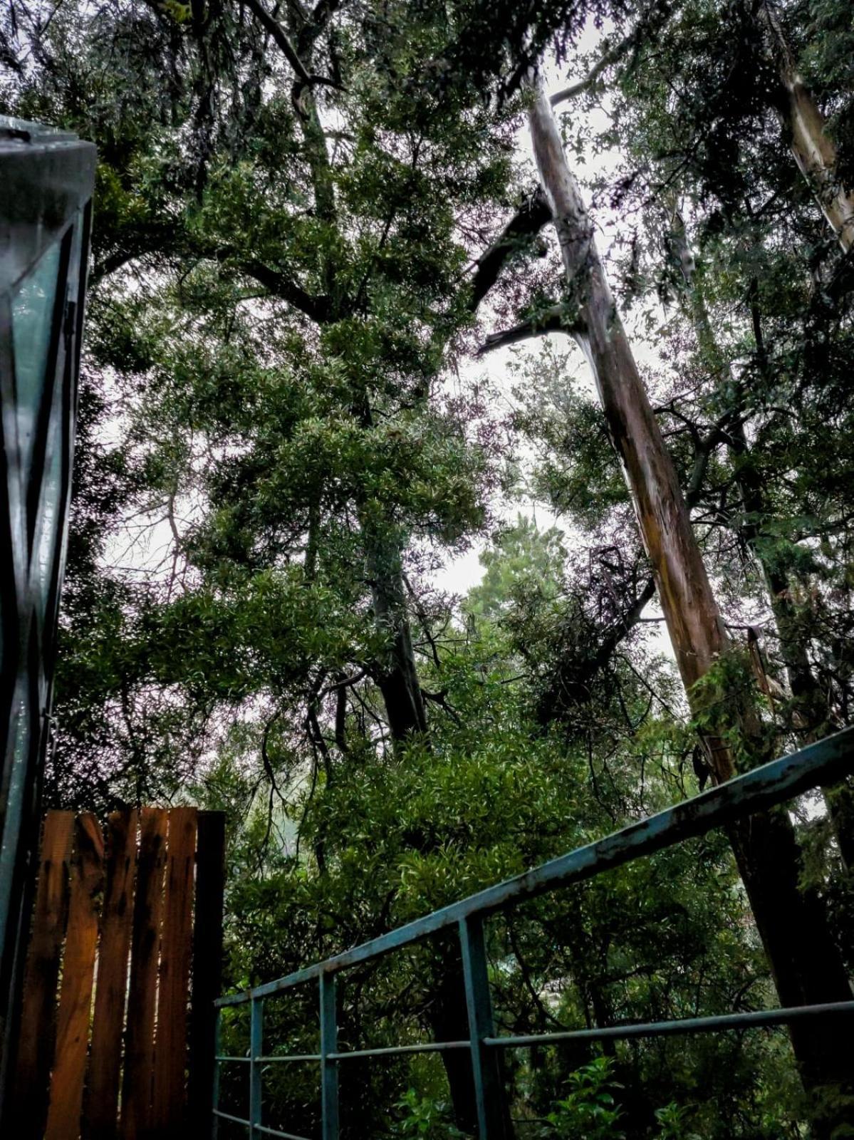 Отель Woodhouse Утакаманд Экстерьер фото